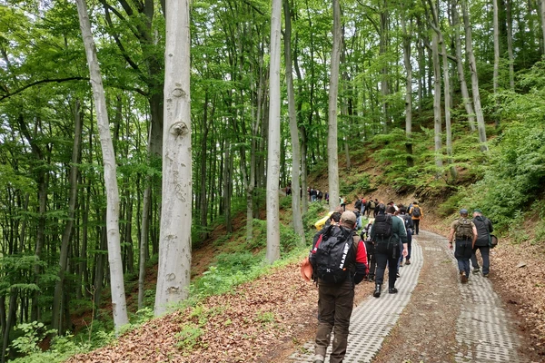kurs BIP ERASMUS+ "Biodiversity Conservation"