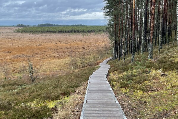 Przedstawiciele naszego wydziału uczestniczą w projekcie Erasmus BIP "Wildlife management and conservation in human altered ecosystems" na VMU Agriculture Academy w Kownie na Litwie.