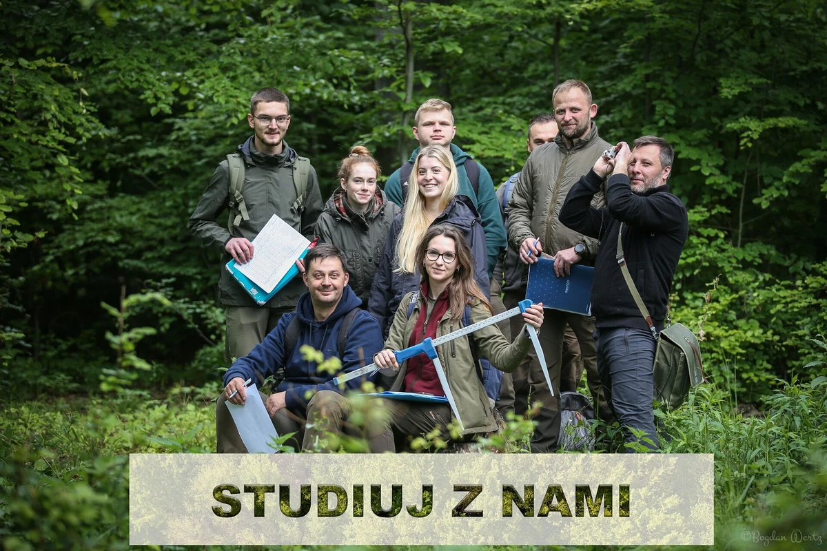 Grafika ilustrująca rekrutacje na studia