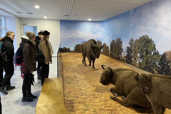 Przedstawiciele naszego wydziału uczestniczą w projekcie Erasmus BIP "Wildlife management and conservation in human altered ecosystems" na VMU Agriculture Academy w Kownie na Litwie.