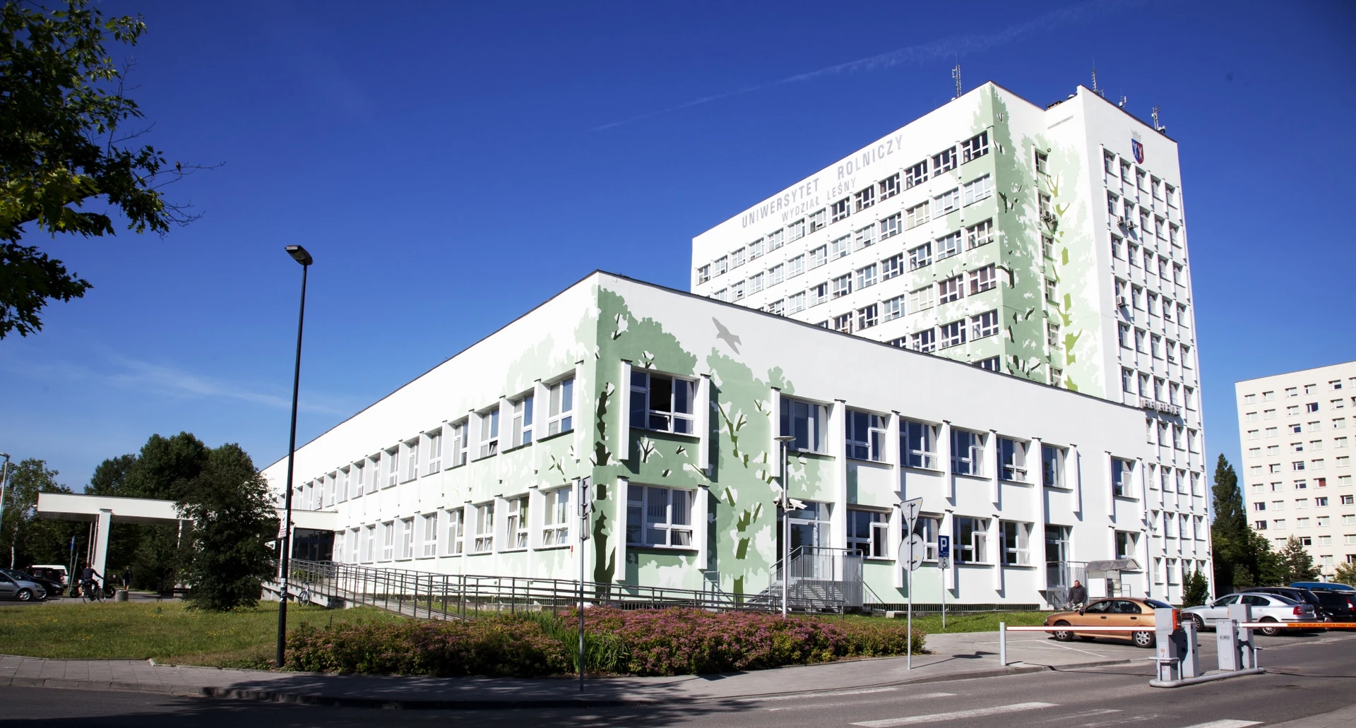 wydział leśny